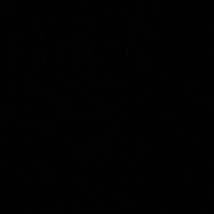 Meet your Posher, Rita